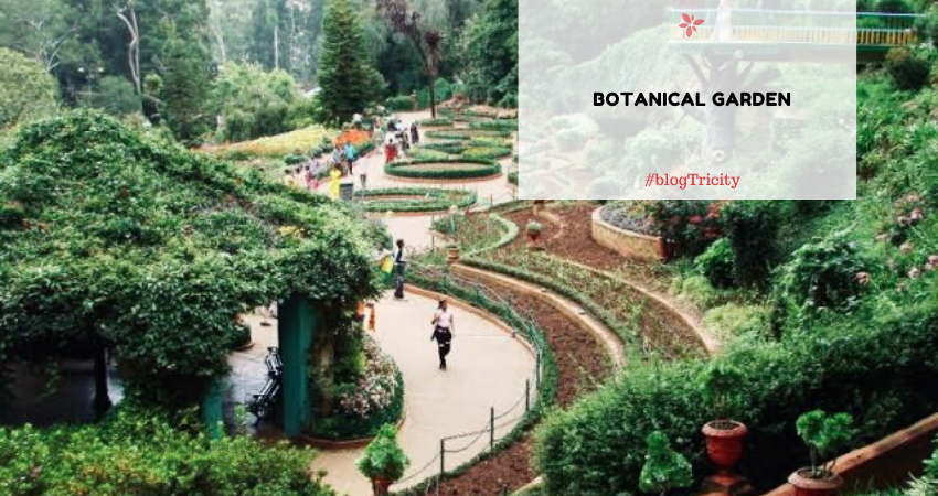 Botanical garden tourist places in chandigarh