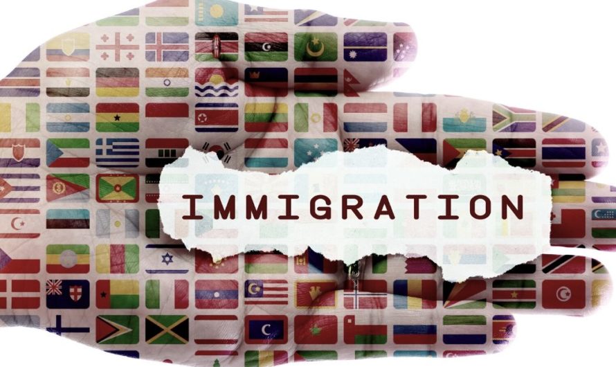 Best Immigration Consultant in Chandigarh