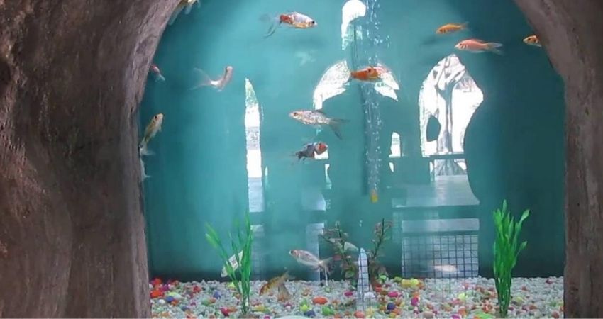 Aquarium-Chandigarh-Rock-Garden 