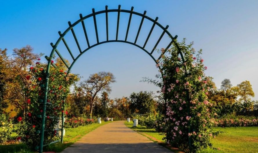 Entrance fee at major gardens in Chandigarh is proposed