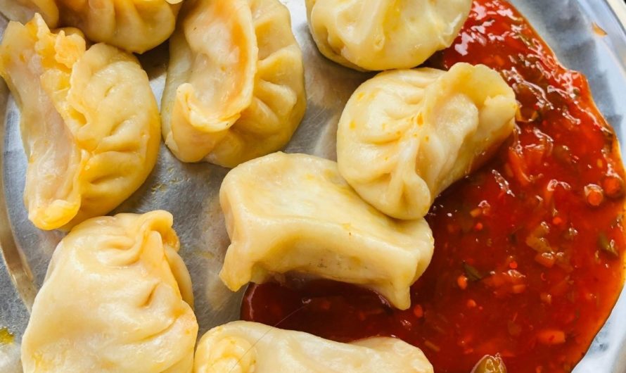 Raju Chinese Fast Food serves the best Momos in Chandigarh