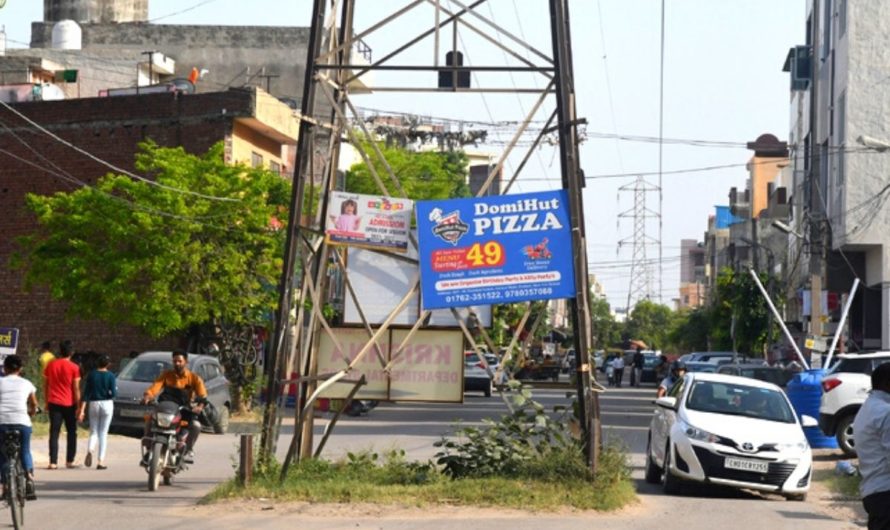 Trees and electricity poles are becoming death traps in Zirakpur